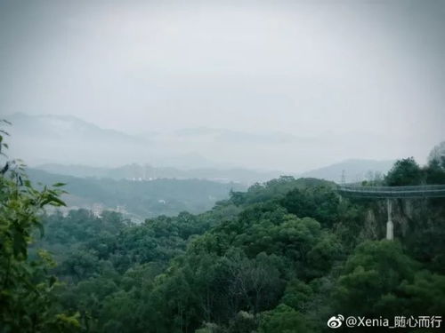 福州旅游雨天攻略