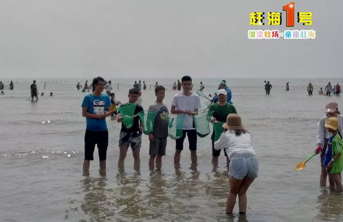 福州哪里赶海好玩免费