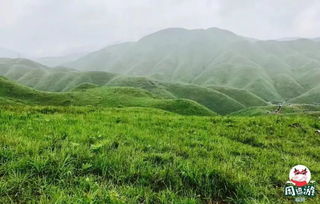 福州周边露营哪里好玩