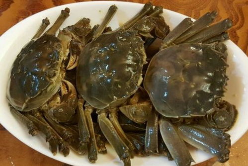 福州江滨毛蟹哪里好吃
