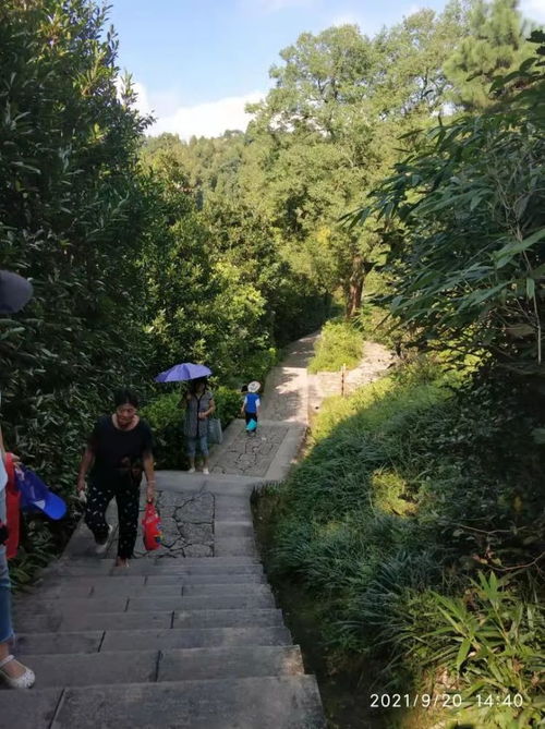 白云洞福州开车攻略