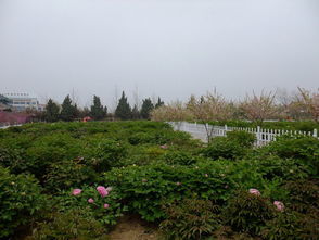 福州到菏泽旅游攻略