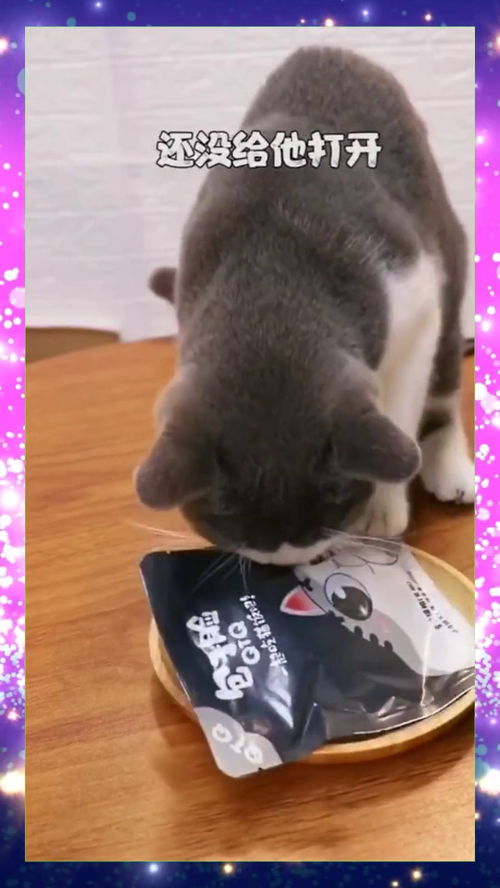 福州鲜猫哪里好吃