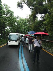 福州飞凤山自驾攻略