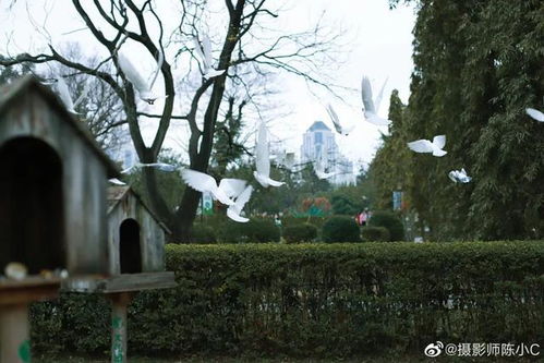 福州遛娃哪里好玩