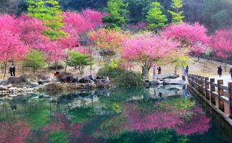 福建福州金山哪里好玩