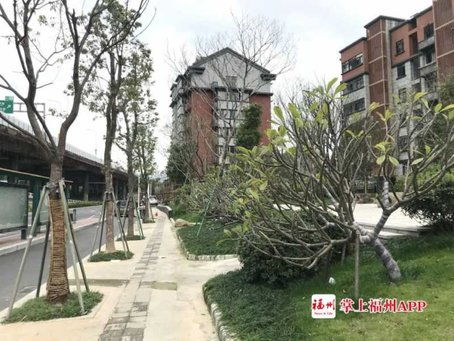 福州街头公园好玩吗
