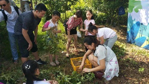 福州闽侯夏天游玩攻略