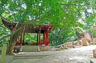 福州乌山好玩地方推荐