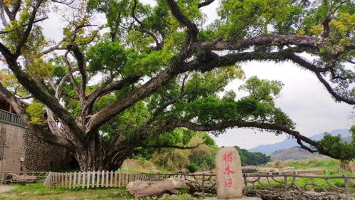 福州永泰村庄哪里好玩