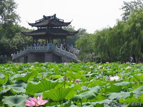 福州西湖几级景区好玩