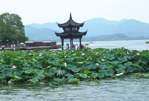 福州西湖划船攻略价格