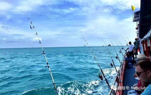 福州出海海钓攻略