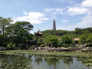 福州去顺德旅游攻略