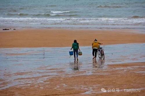 福州赶海装备露营攻略