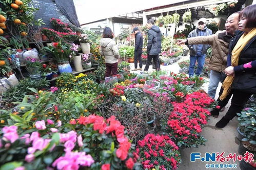 福州仓山花市攻略