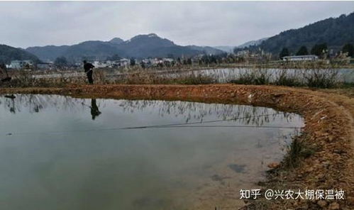 福州鱼池哪家好吃点