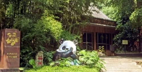 福州熊猫世界门票攻略