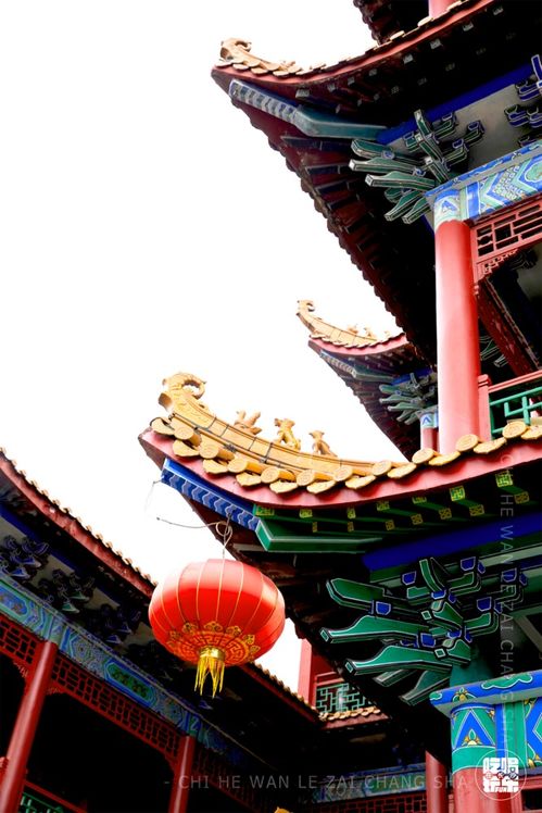 福州小长沙好玩不好玩呀