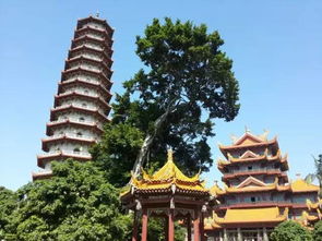 福州乌山公园哪个好玩