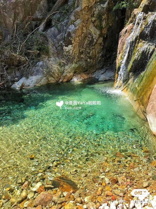 哪里游泳最好玩福州