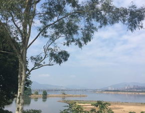 福州到闽江旅游攻略