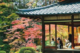 福州孕妇旅游攻略景点