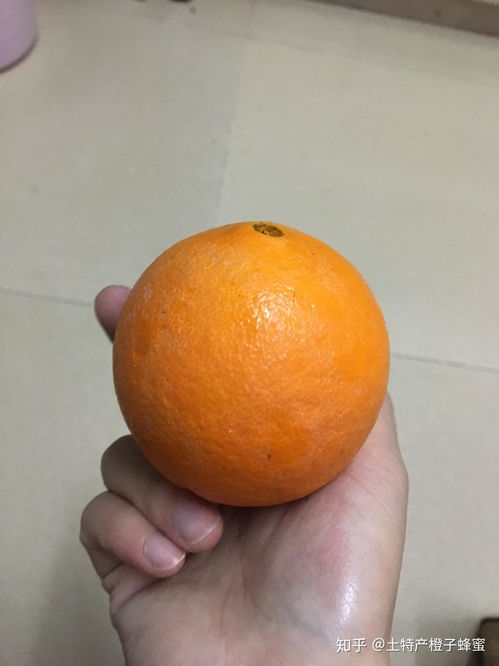 福州哪里买脐橙好吃