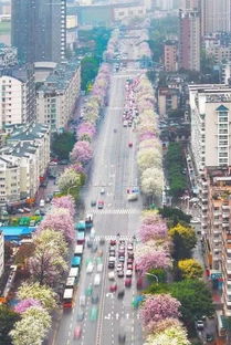 福州周围好玩的城市
