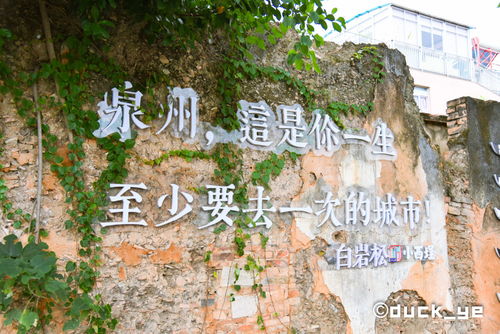福州泉州哪个更好玩
