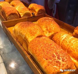 福州到西安攻略美食