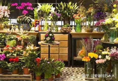福州摆摊卖花攻略视频