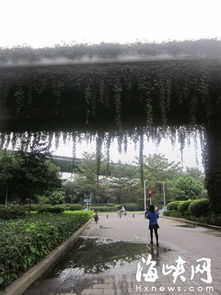 福州下雨好玩的地