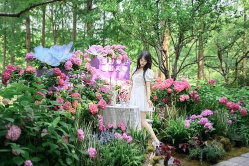 福州流苏花打卡攻略