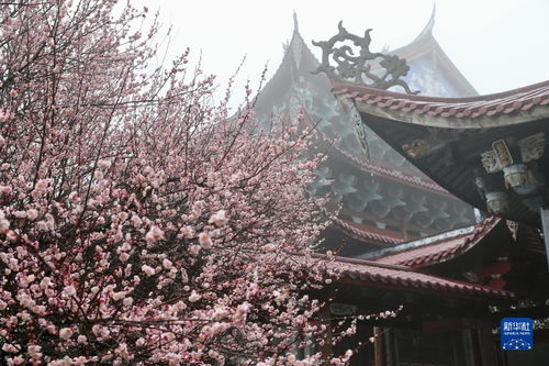 福州林阳寺攻略