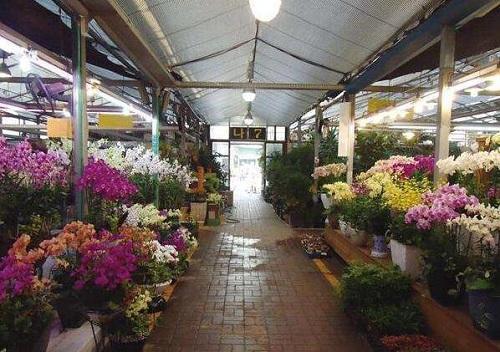 会展花市福州旅游攻略