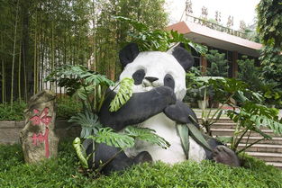 福州熊猫世界游攻略