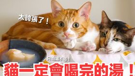 福州鲜猫哪家好吃