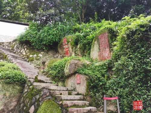 福州哪里买兔子好吃