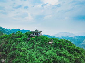 福州和莫干山哪个好玩些