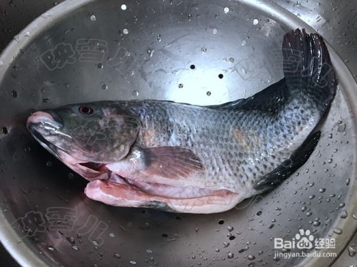 福州燕鱼怎么煮好吃