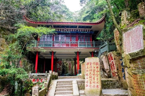 福州鼓山晚上泡茶攻略