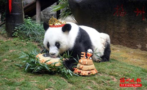 熊猫世界福州门票攻略