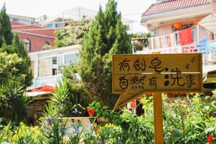 福州花市厦门拍照攻略