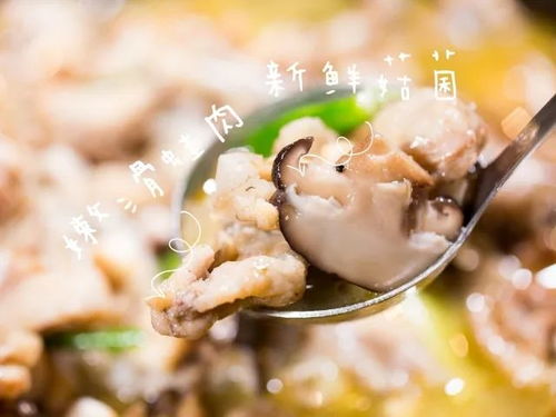 福州火爆牛蛙哪家好吃