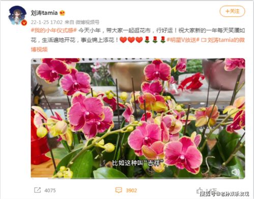 福州买花攻略视频