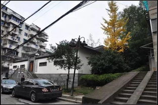 福州桂山路足浴哪家好玩