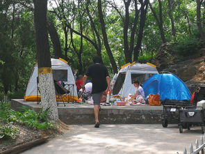 福州夏季公园好玩吗最近