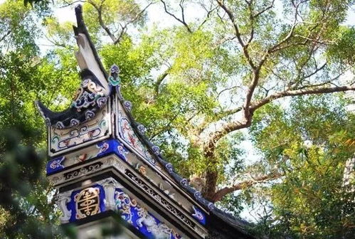 福州连江哪里公园好玩点