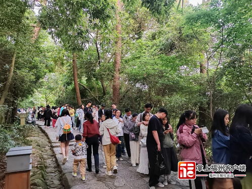 福州鼓山缆车游玩攻略